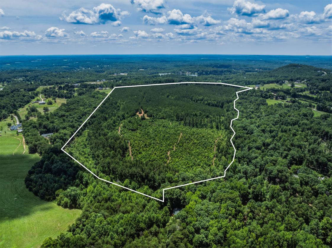 Loblolly Farm Tryon - photo 4