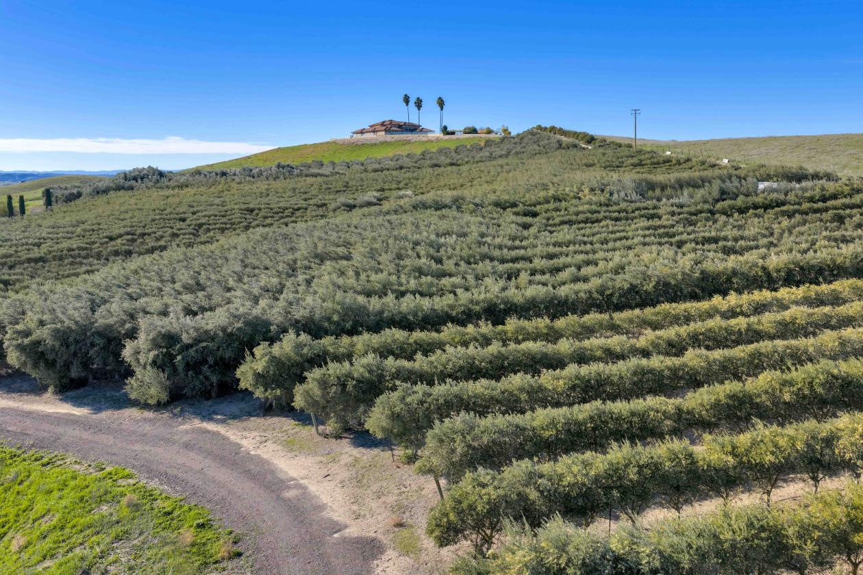 Five Arches Ranch - photo 12