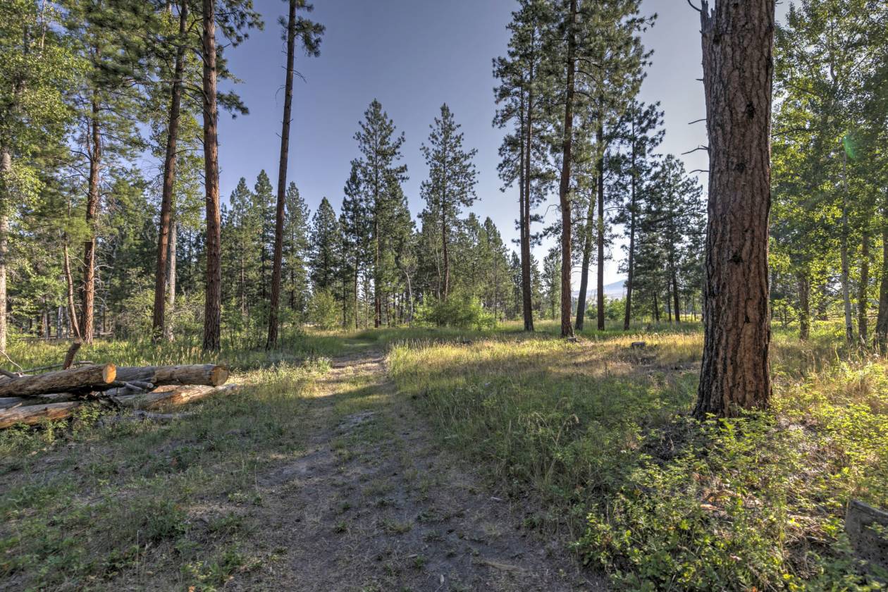 Equestrian Retreat Just Minutes from Missoula - photo 12