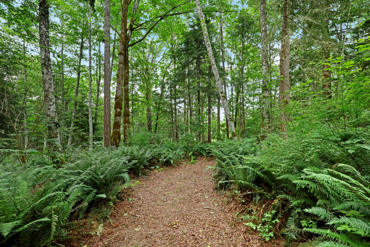 Stunning Waterfront Acreage Courtenay, Comox Valley County, British