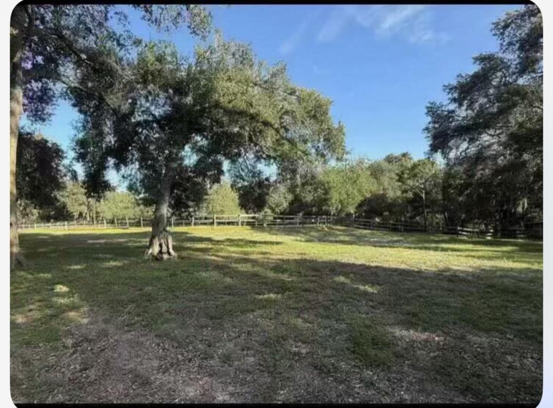 5 beautiful Acres in an equestrian community - photo 8