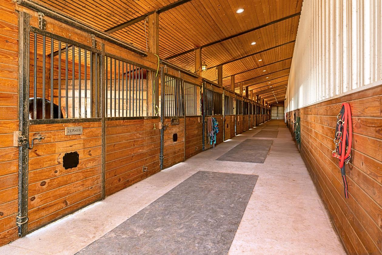 Income Producing Horse Boarding Facility - photo 8
