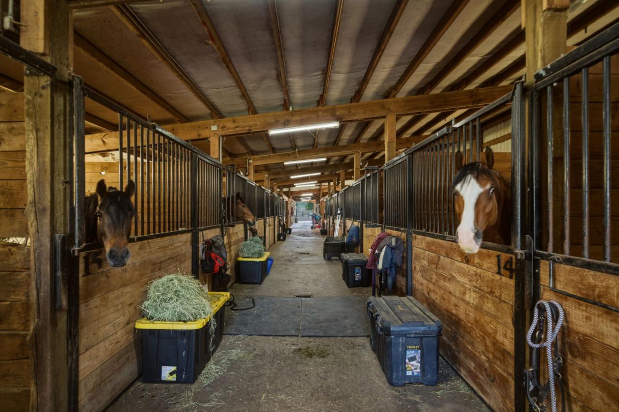 Legacy Boarding Facility w/ 41 Stalls & 2 Arenas - photo 11