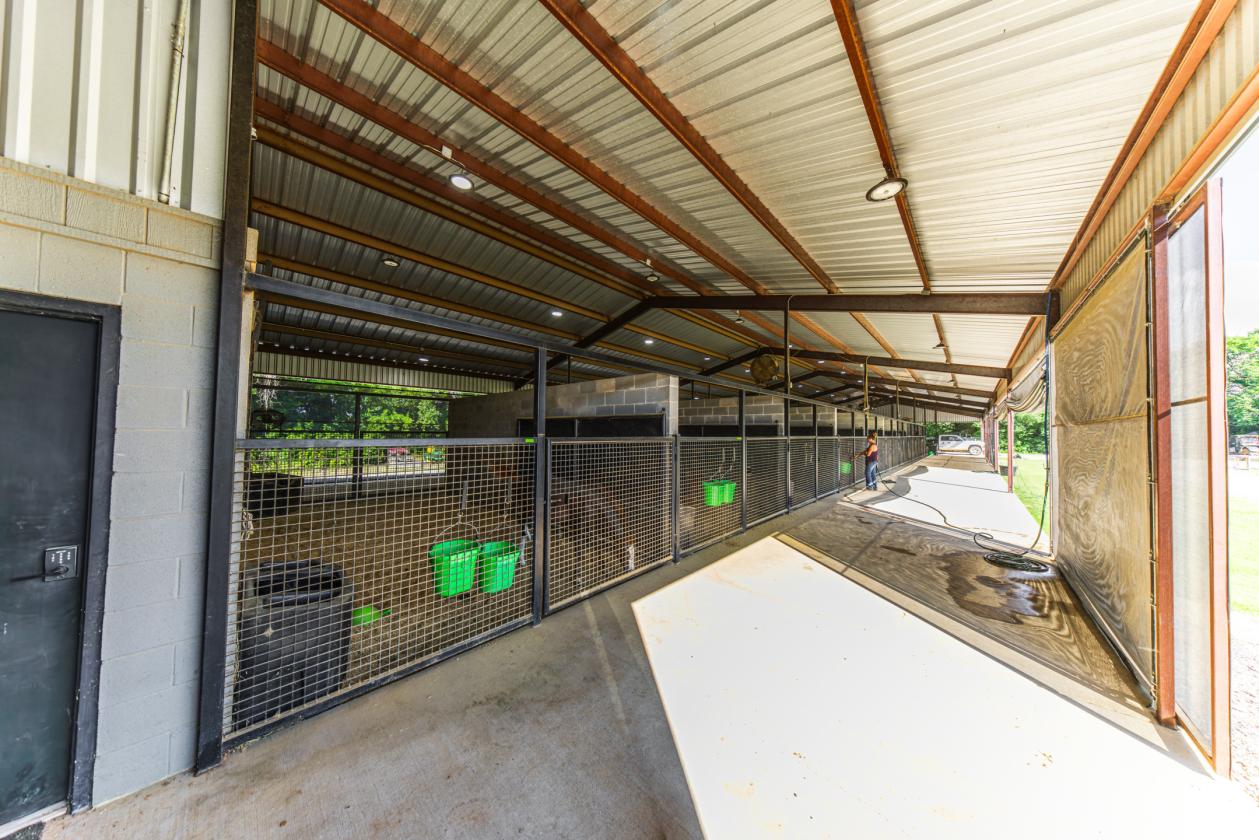 Walnut Creek Horse Ranch - photo 25