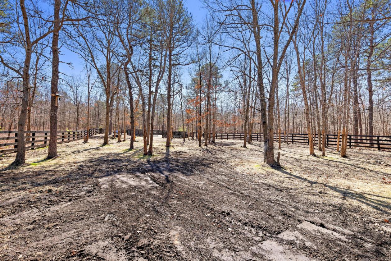 Horse Homestead on 2.73 Acres - photo 23