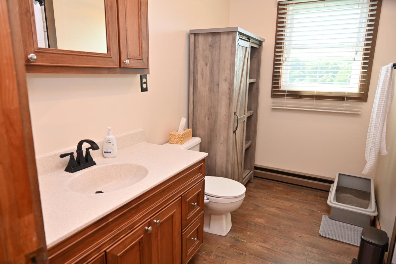 Horse farm with remodeled home - photo 22