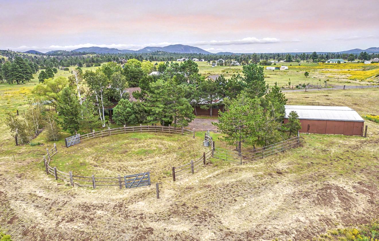 Horse Property on Nearly 4 Acres - photo 11