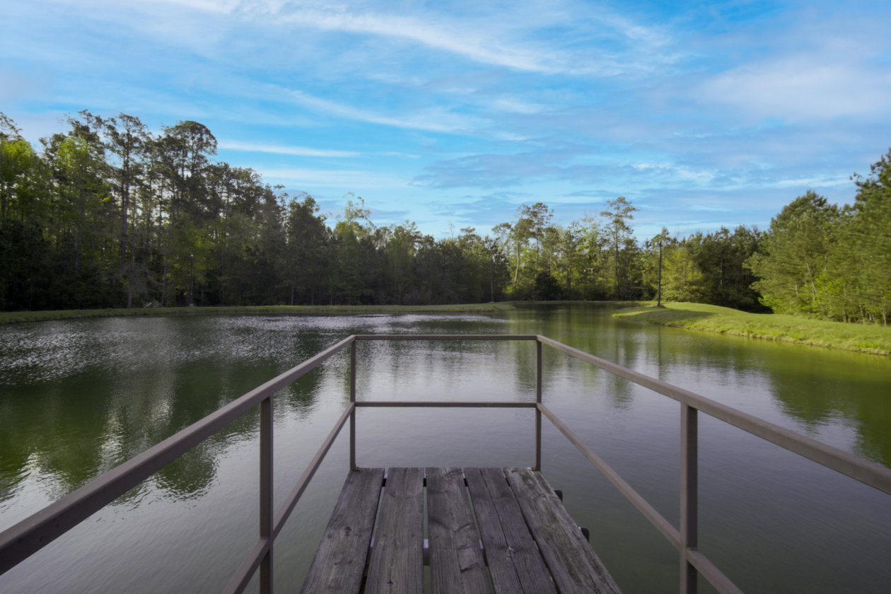 Fully Fenced 56+ Acre Estate - photo 2
