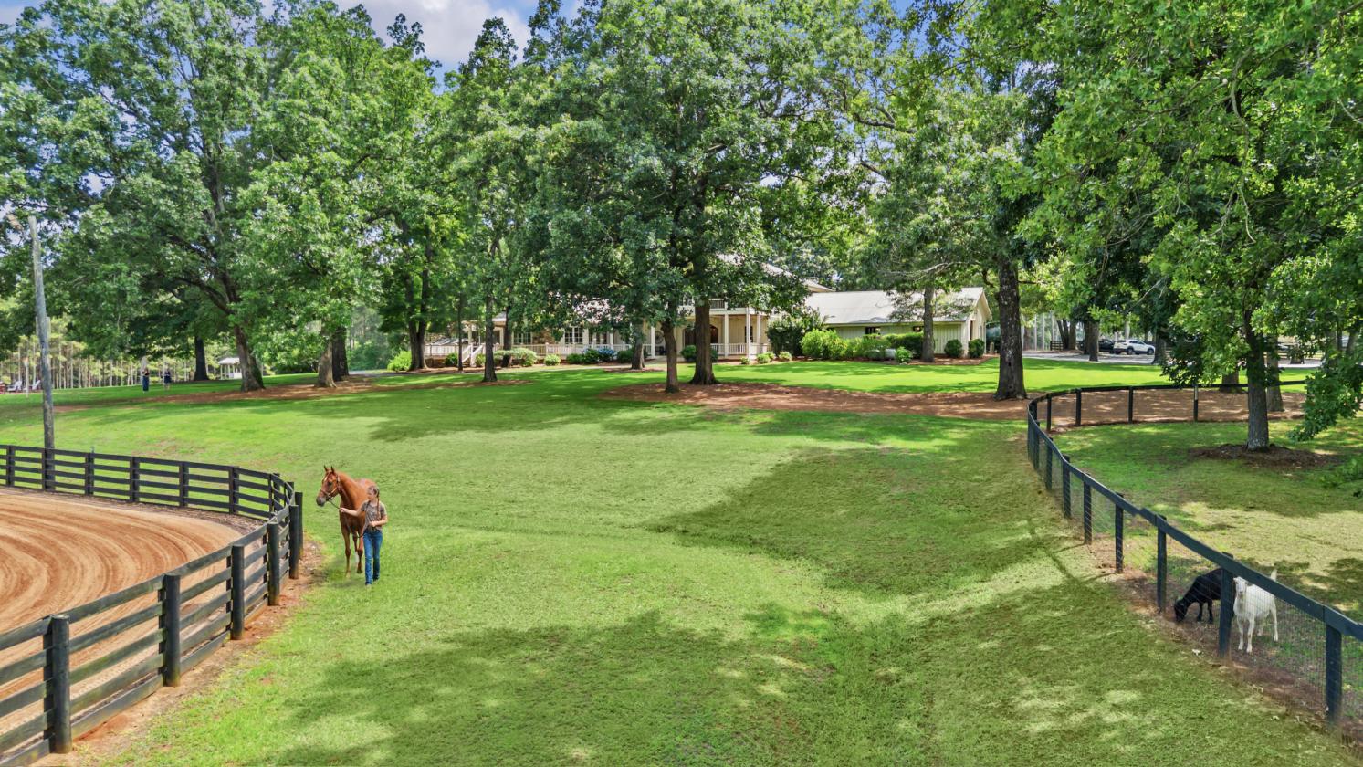 Luxury Equestrian Estate - 96 Acres - photo 2