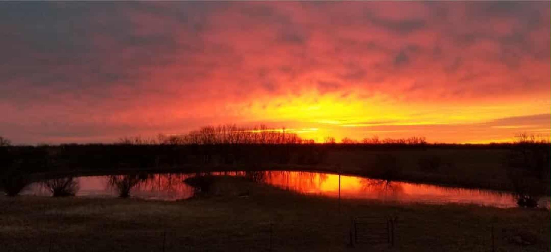Horse Property Dream - photo 16