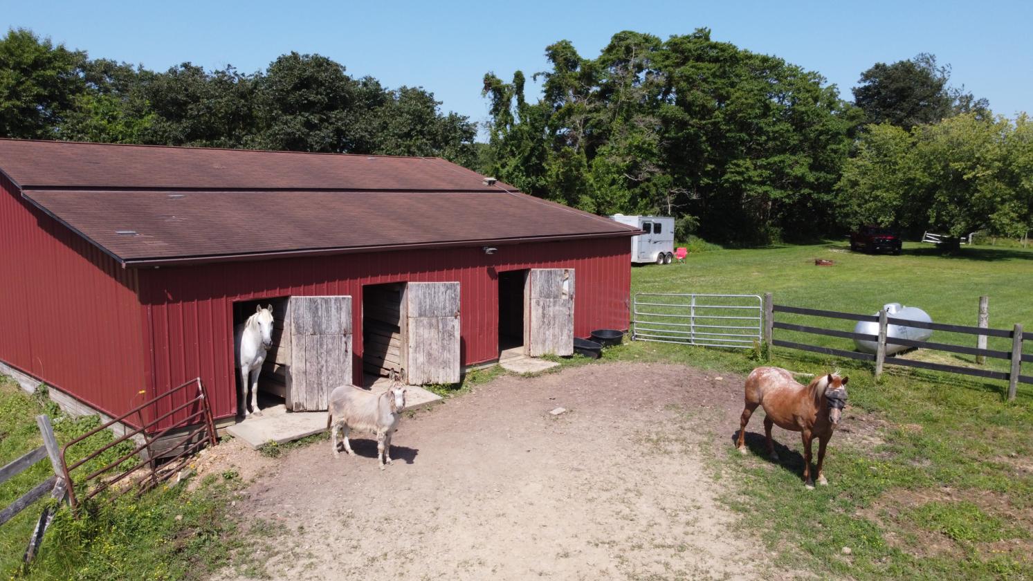 Horse farm with remodeled home - photo 7