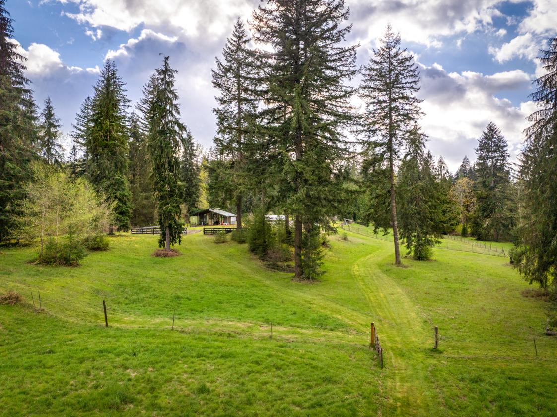 10.5 ACRES | PASTURE | PRIVACY - photo 2