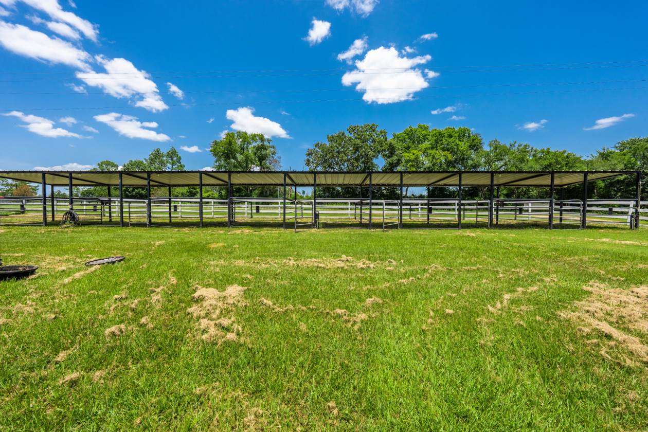 Horse Property for sale.