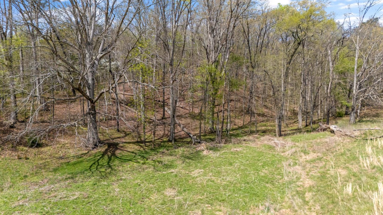 Beautiful acreage with 57 acres - photo 4