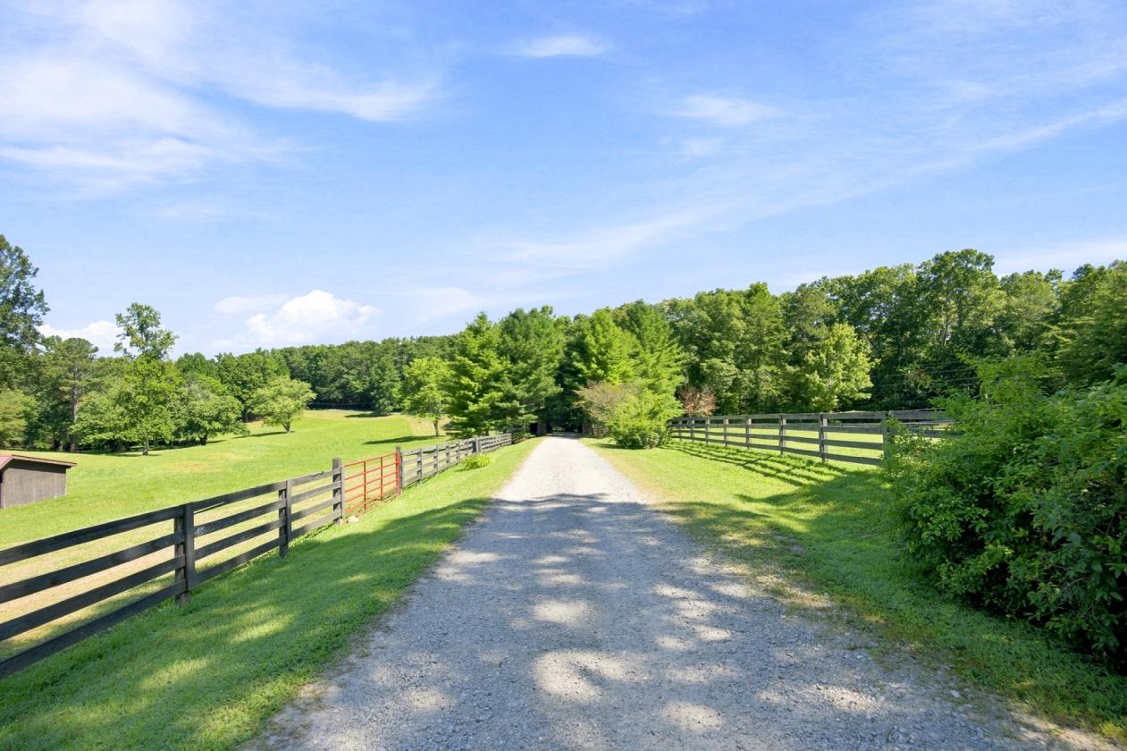 Anderson Creek Retreat - photo 14