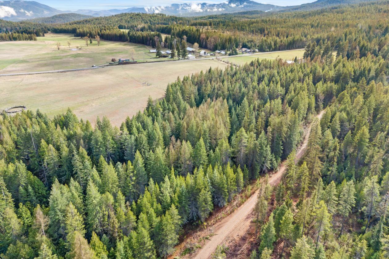 Level 20.65 acres w/Creek, Pasture & Woods - photo 18