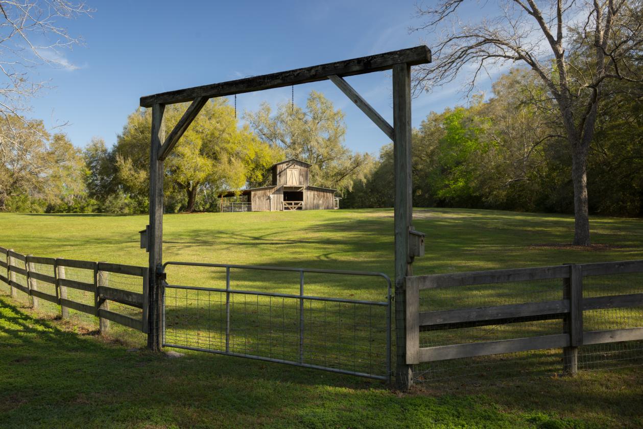 Farmhouse on 5 Acres with Horse Barn - photo 24