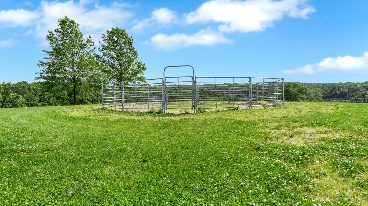 The Ultimate Equestrian Business Opportunity - photo 17