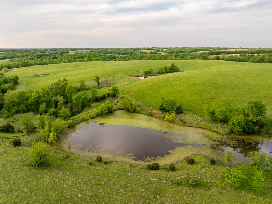 273.5 +/- Acre Turn-Key Cattle and Horse Property - photo 9