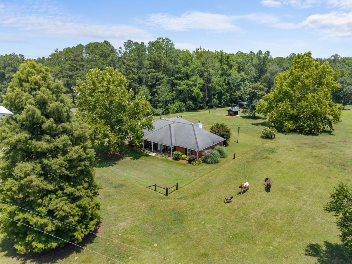 Perfect Mini-Farm just outside of Savannah! - photo 29