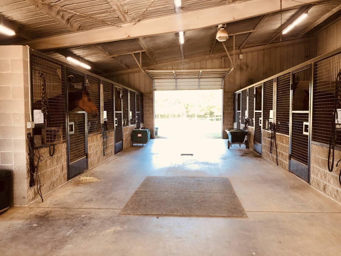 Equestrian's dream property in desirable location just north of Dallas
