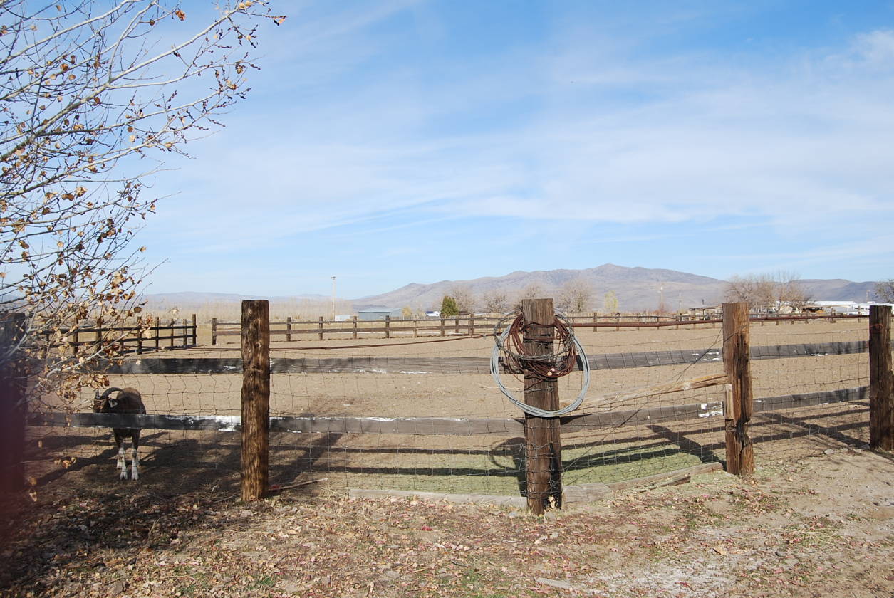 Property for horses with a view Susanville, Lassen County, California