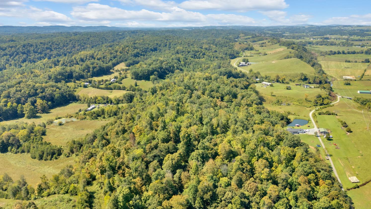 Mountain Views & Endless Possibilities on 49± Acre - photo 17