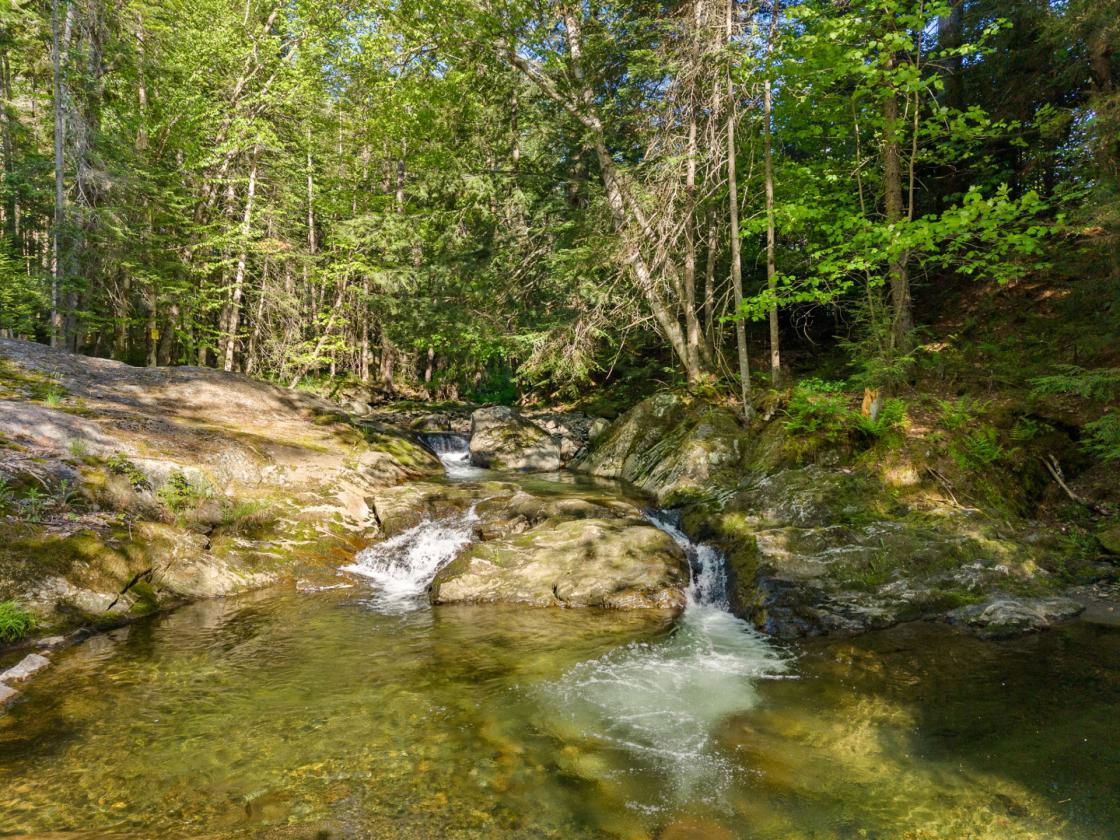 Equestrian estate with gorgeous Sugarbush views - photo 29