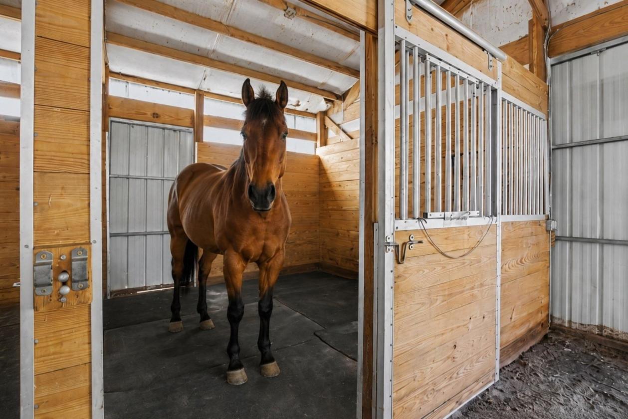 9.7 ACRES + REIMAGINED LUXURY + VIEWS + HORSE PROP - photo 26