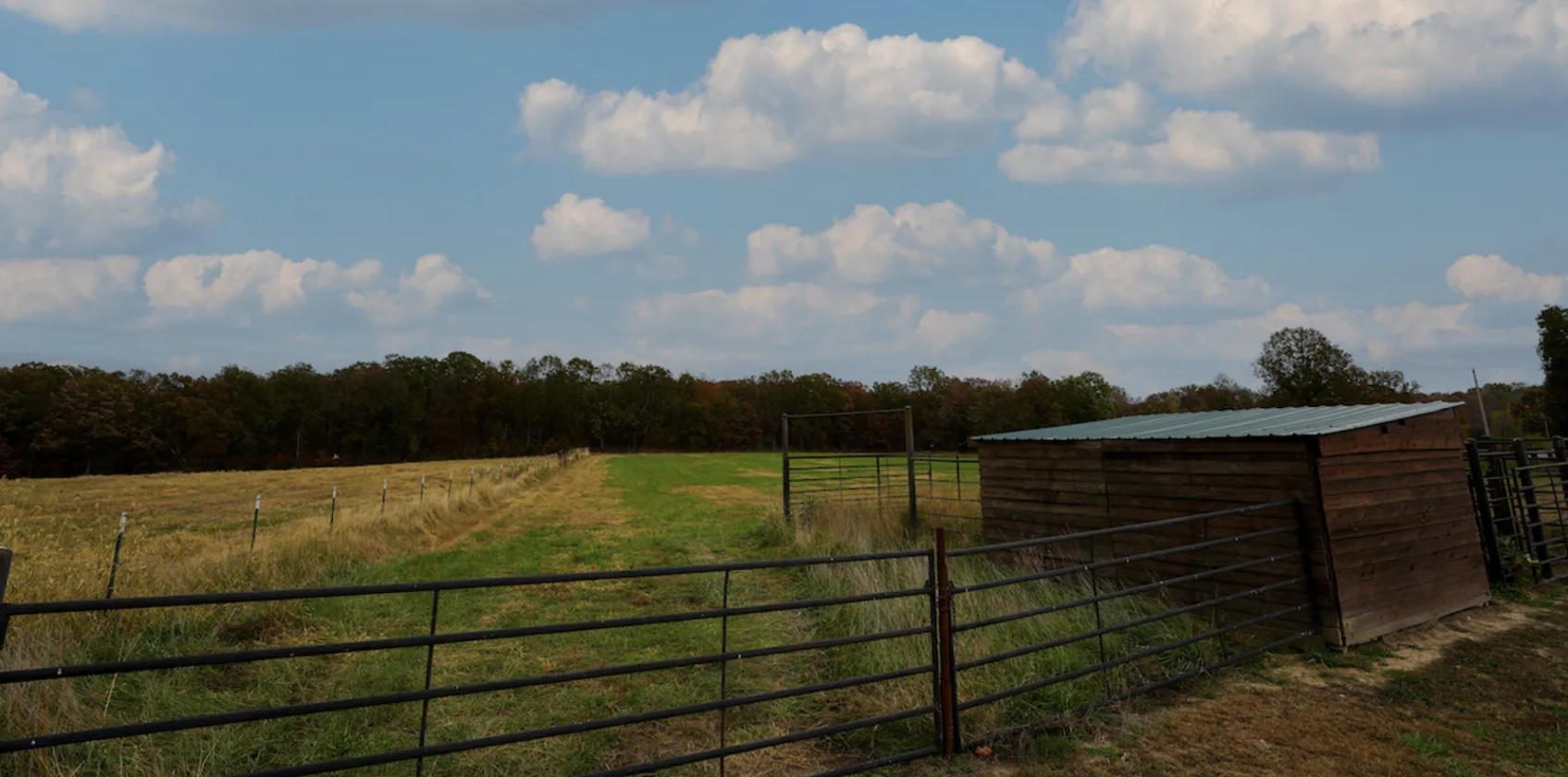 Stunning 313± Acre Double D Ranch - photo 28