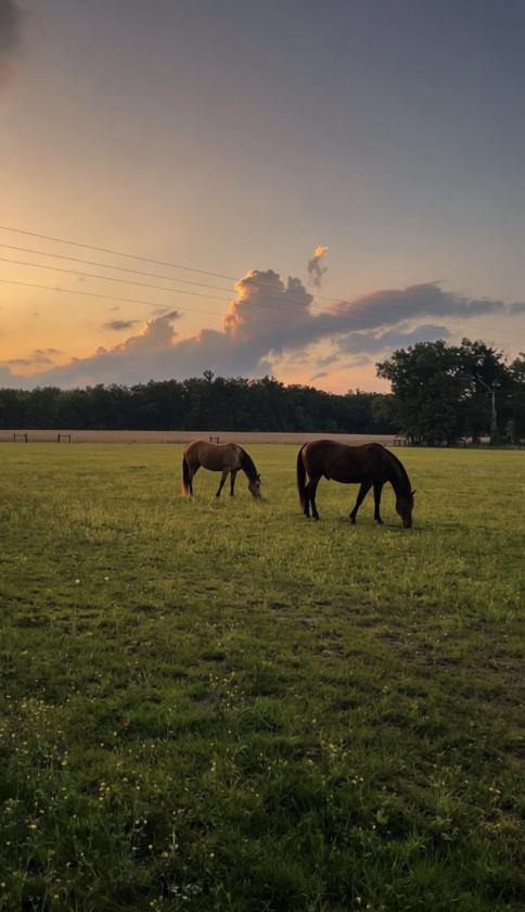 28 acre - photo 28