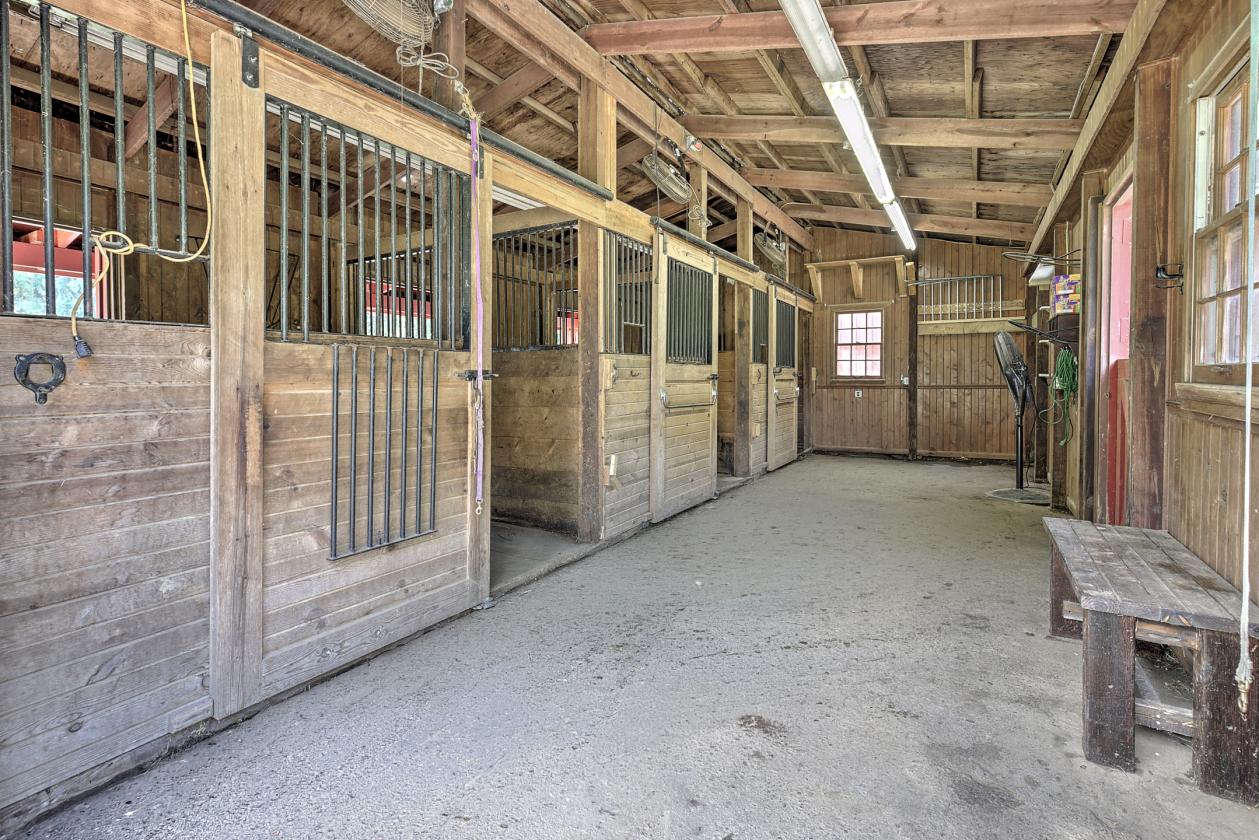 Horse Farm in the Heart of Horse Country - photo 9