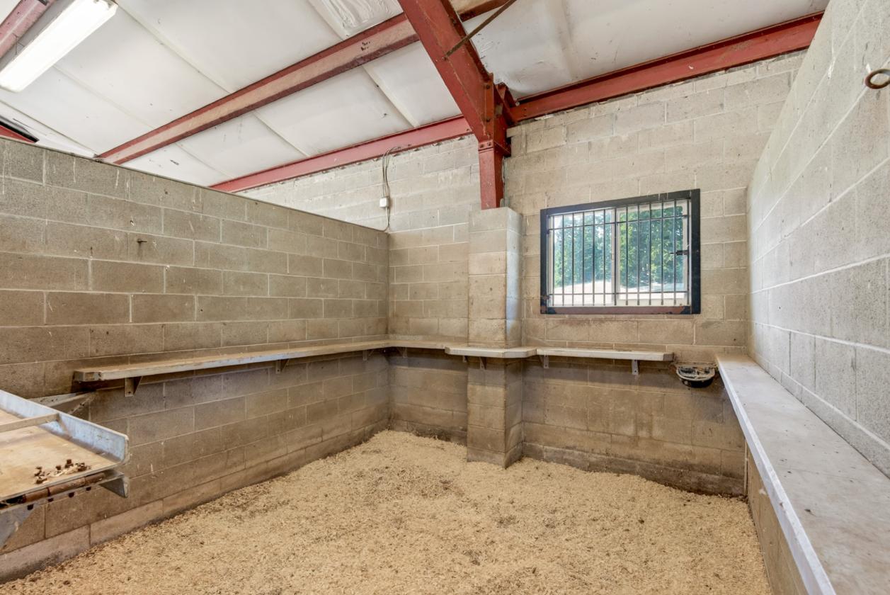 Luxury Equine and Cattle Ranch in Western Oregon - photo 12