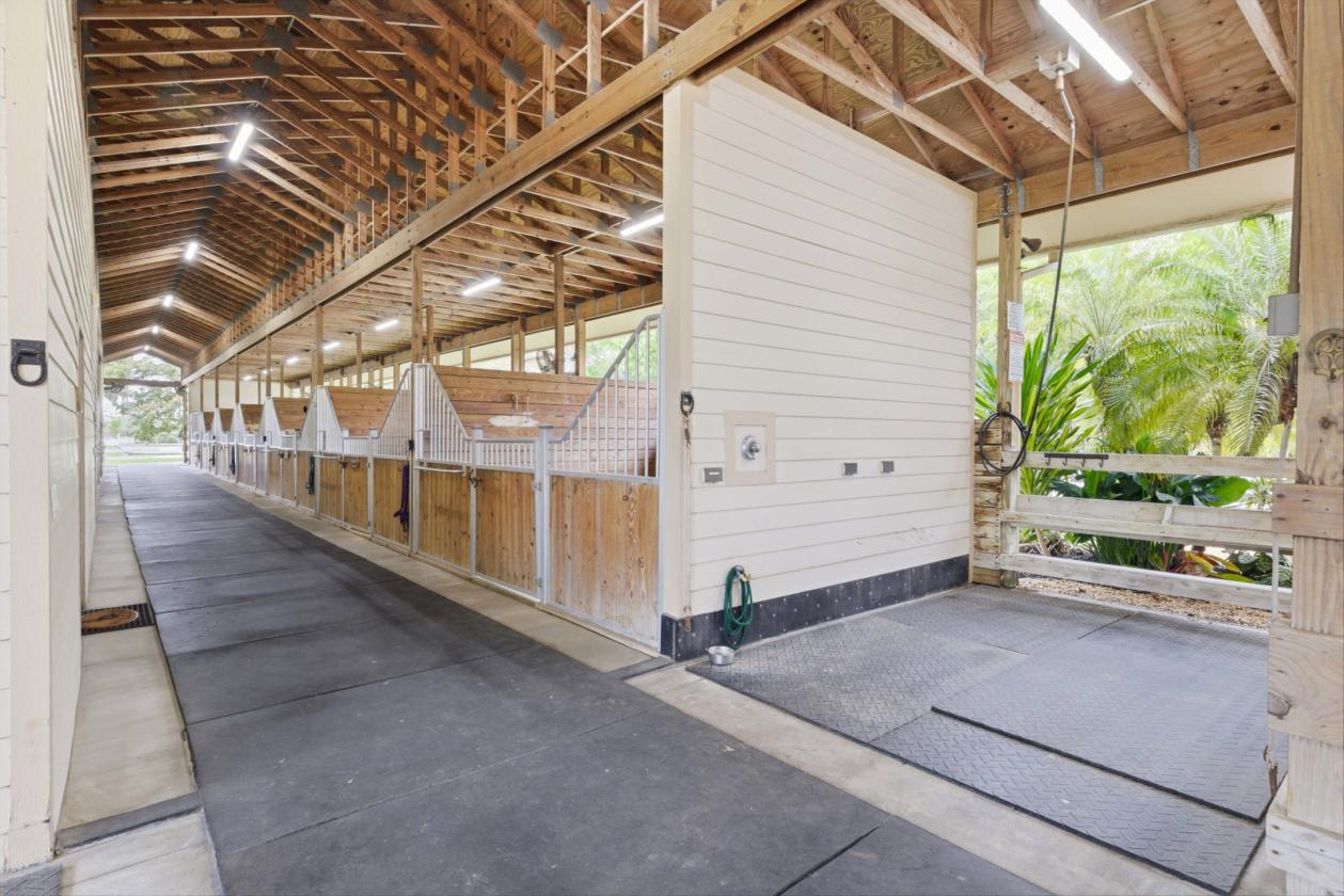 Equestrian Facility in Buckingham - photo 8