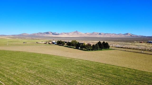 Horse Property for sale.