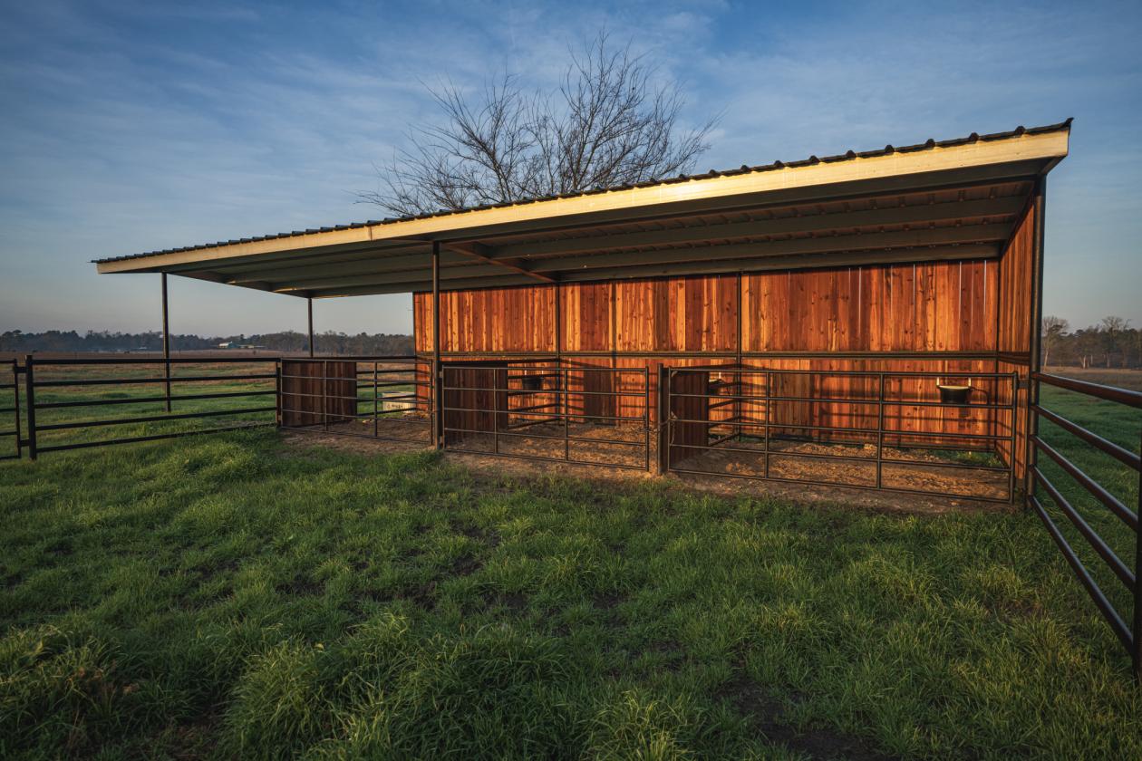 Huntsville 50 Ranch - photo 20