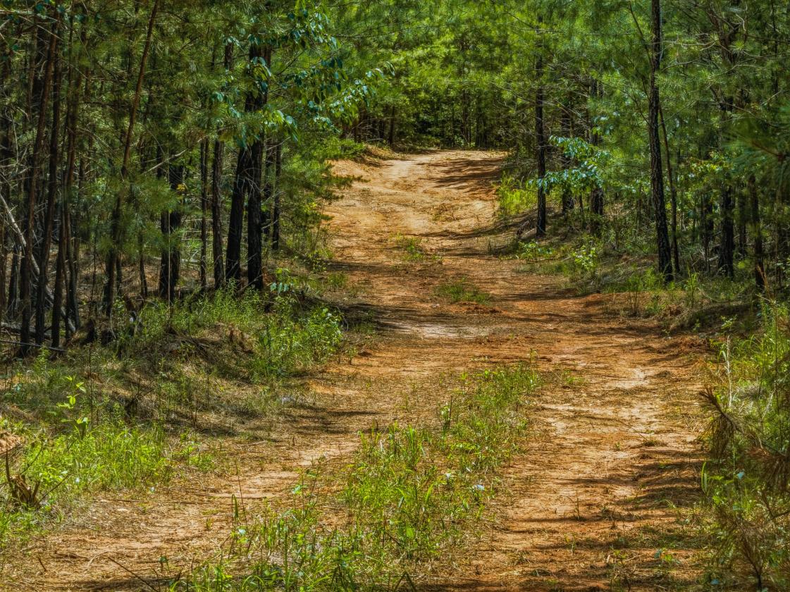 Loblolly Farm Tryon - photo 11