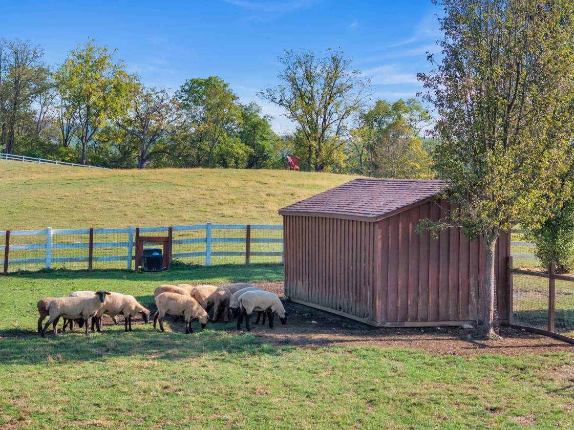 Extraordinary 30-Acre Equestrian Estate! - photo 8