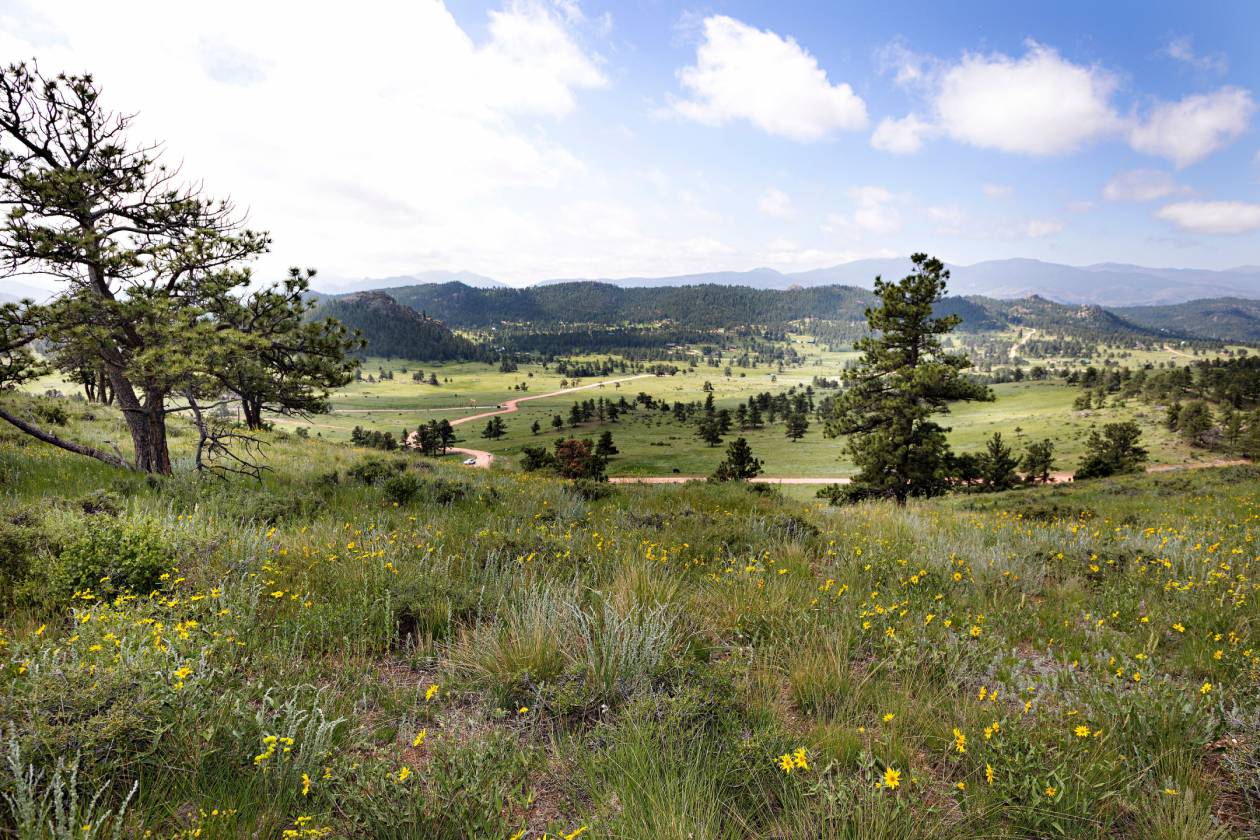 Lots in luxury, gated, mountain community - photo 1