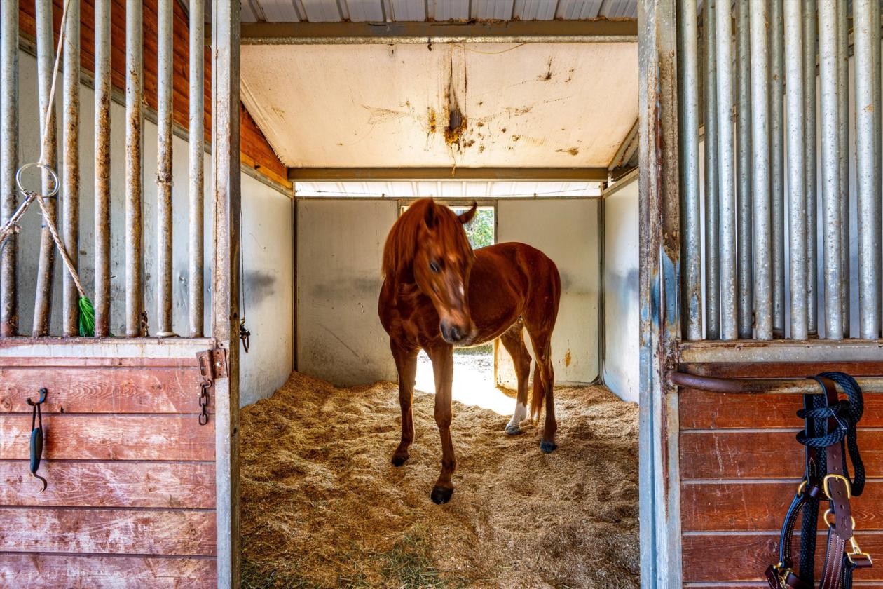 Where World-Class Pinot Meets Premier Equestrian - photo 17