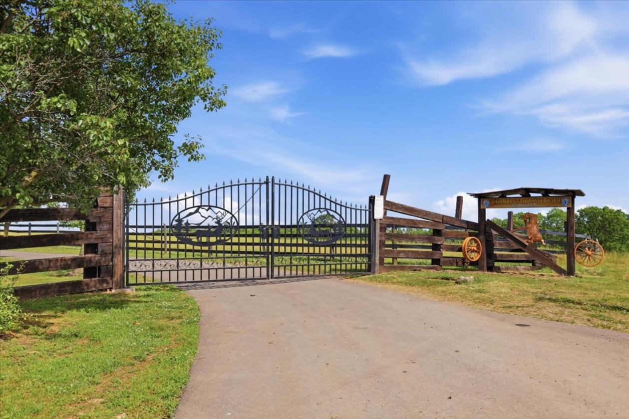 Easy Living - The Equestrian Dream - photo 1