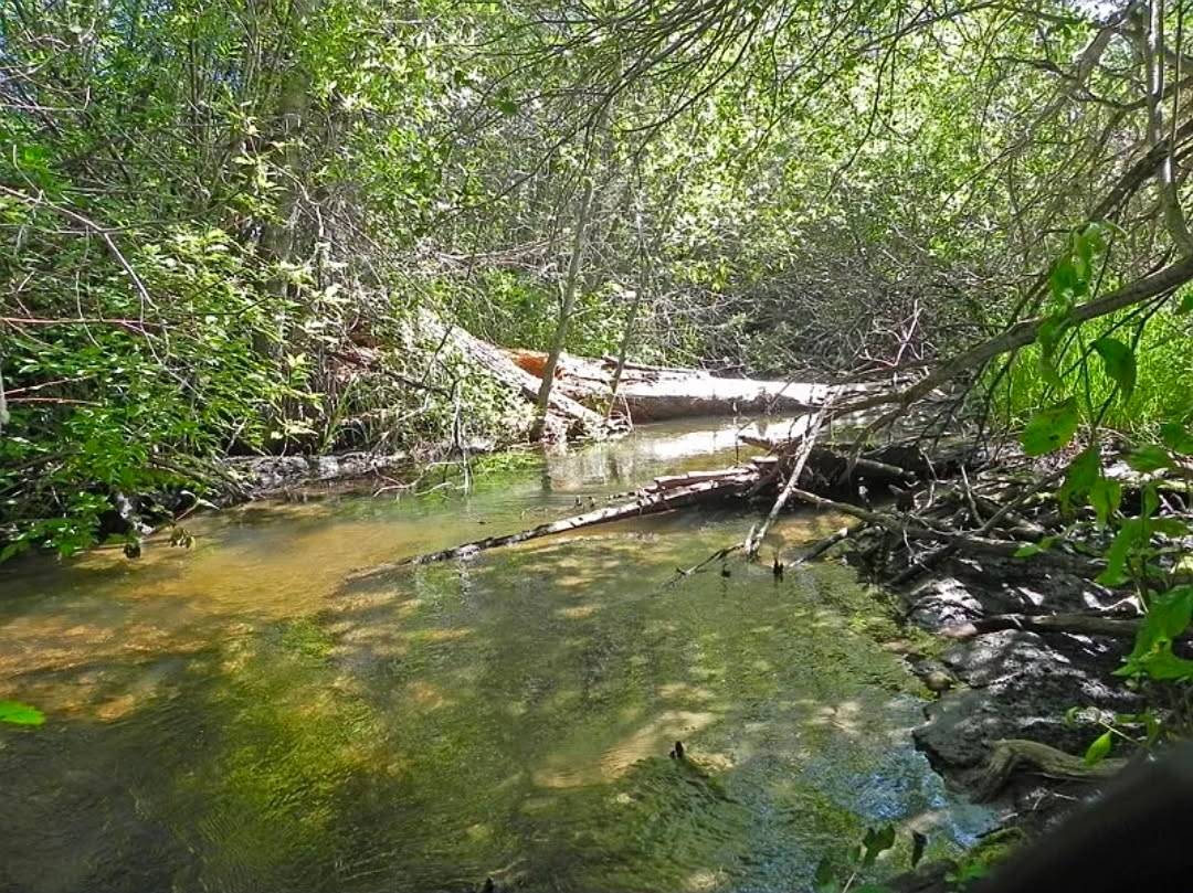 15.268 Acres! Creeks! Trails! Views! Meadows! - photo 12