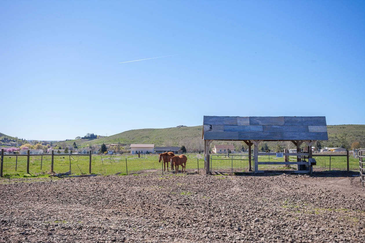 Horse Property on 11 acres! Selah, Yakima County, Washington Horse