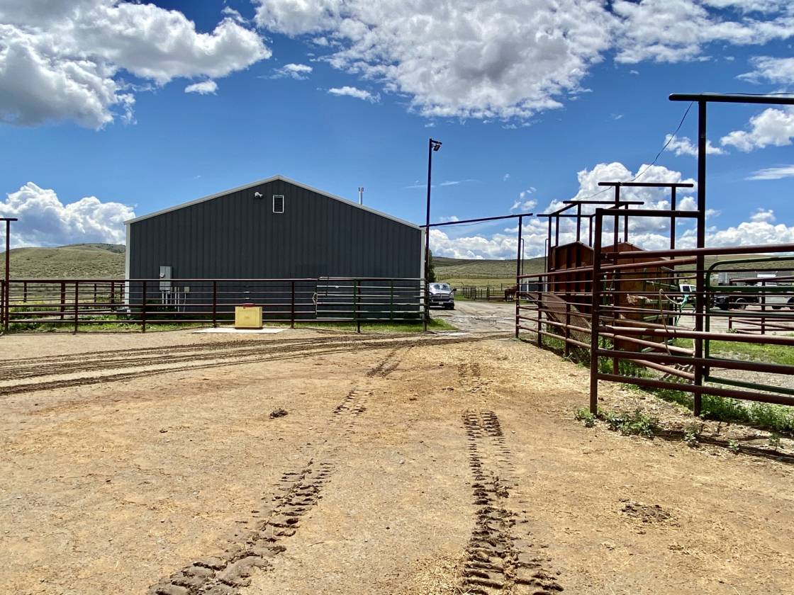 Cattle & Horse Property Montana Cardwell, Jefferson County, Montana