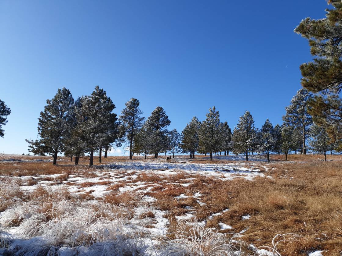Black Hills Horse Property with stunning views and trails out... Keystone, Pennington County