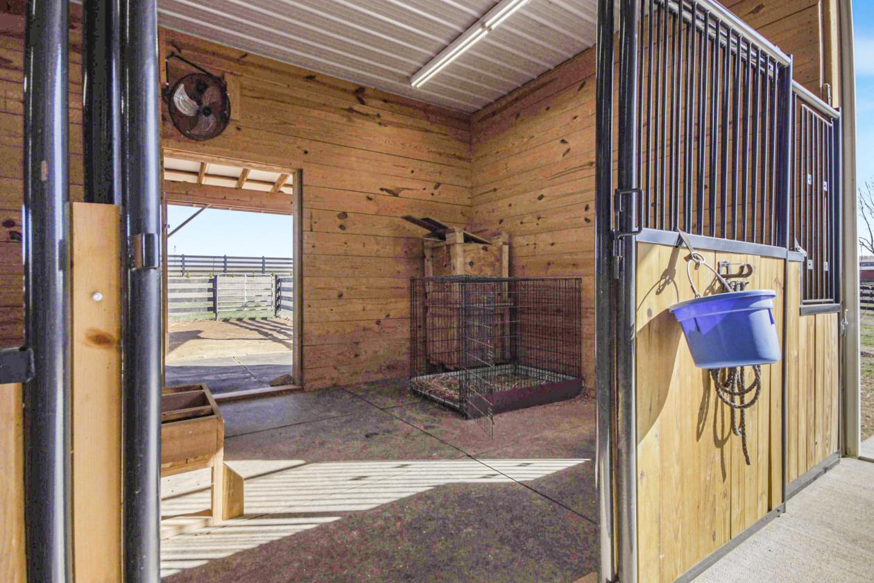 (Price Reduction) Horse Lover’s Dream Estate - photo 5