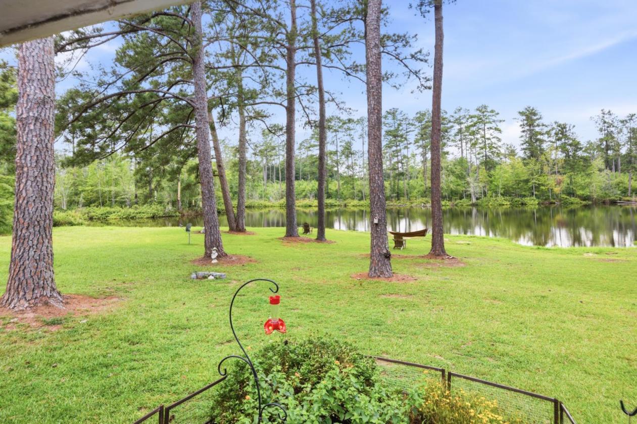 Equestrian Farm with 2 homes and stocked pond - photo 9