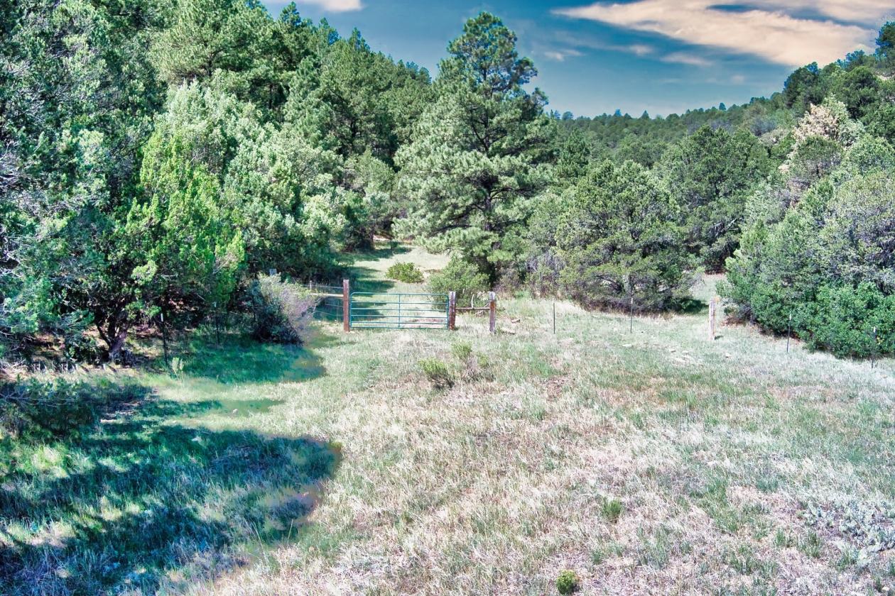 RIDE ON HOME to AUTHENTIC COLORADO! - photo 21