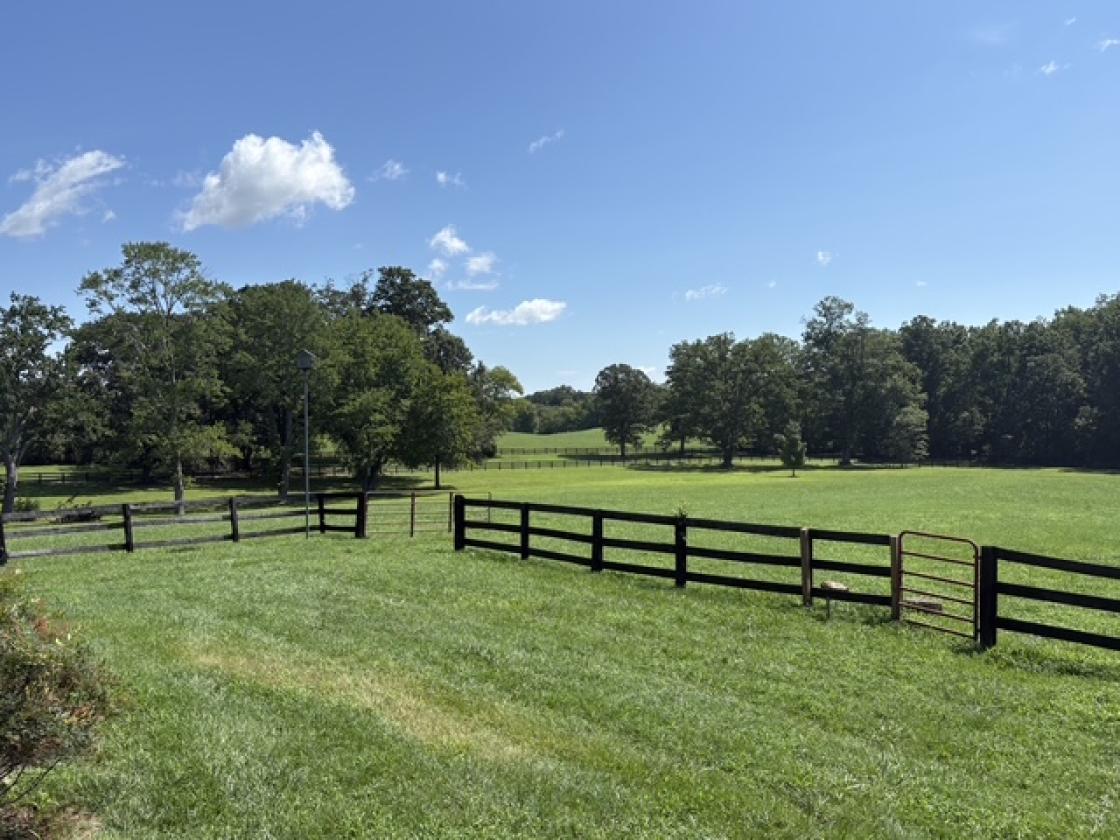 Keswick Hunt Country - Equestrian Rental - photo 6