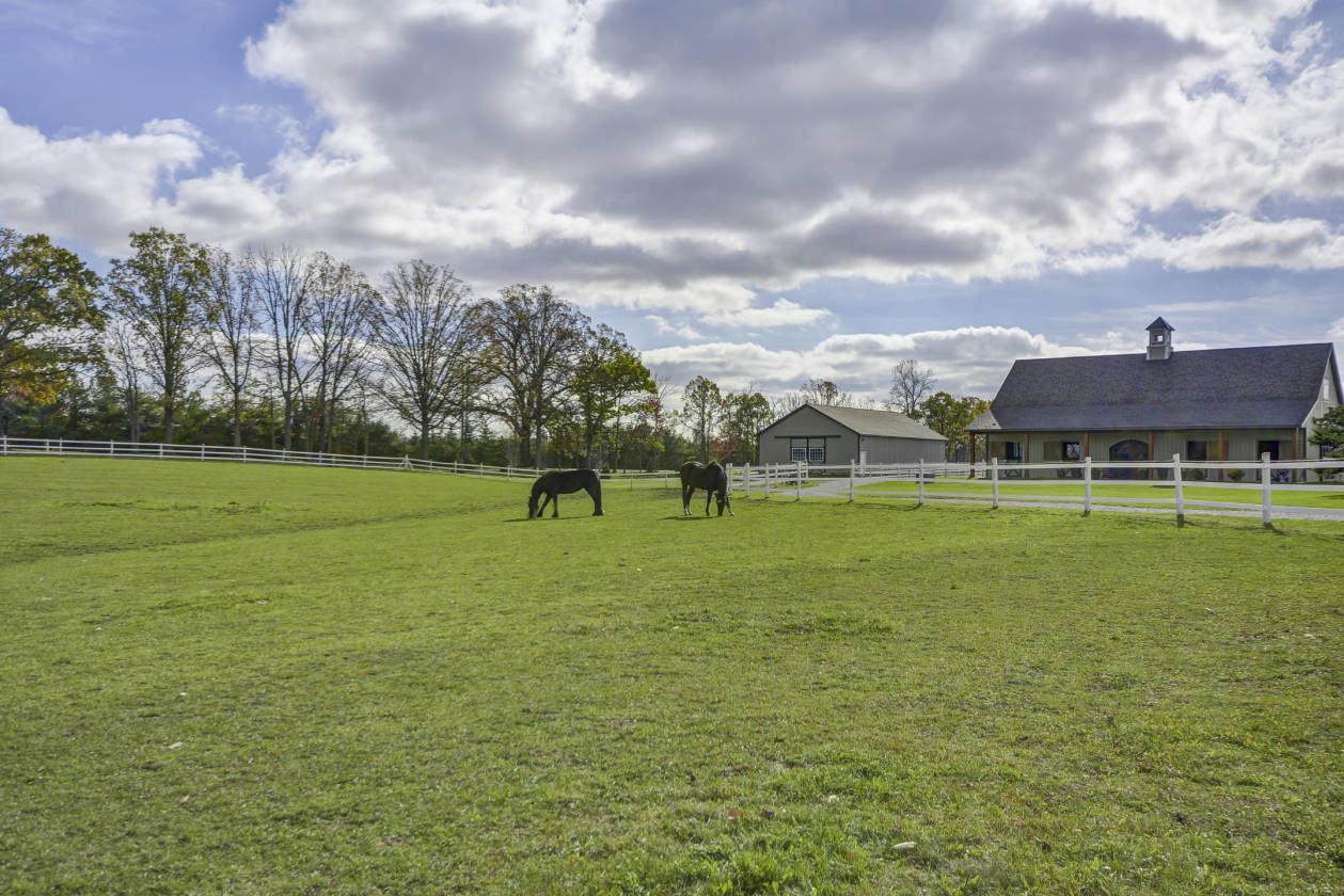 Equestrian Estate for Sale Dexter, Washtenaw County, Michigan